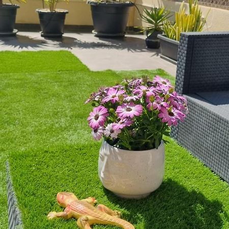 La Zenia Sabrina Apartment 5 Оріуела Екстер'єр фото