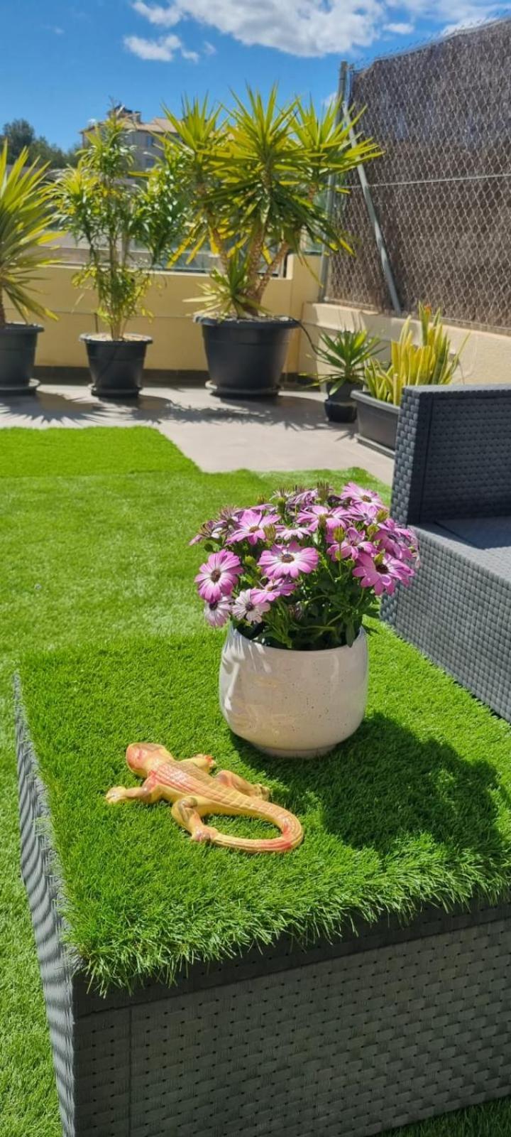 La Zenia Sabrina Apartment 5 Оріуела Екстер'єр фото